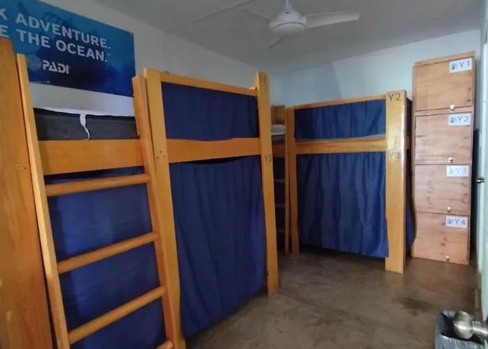 Blue Magic Hostel *