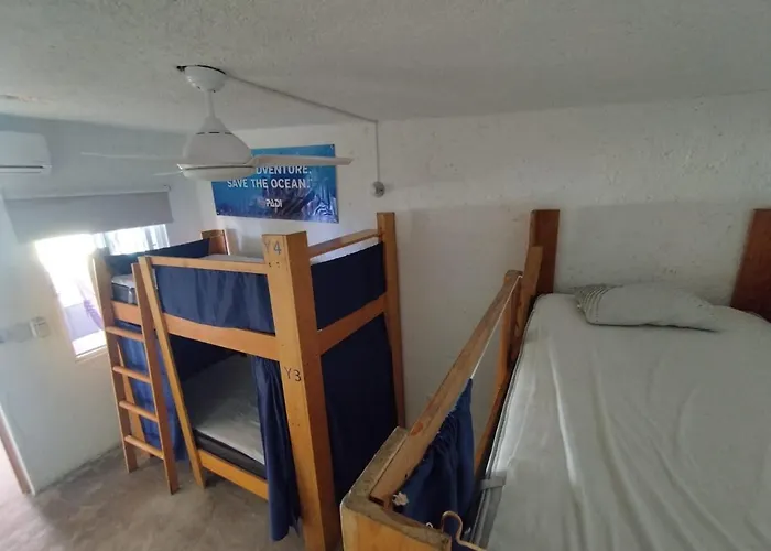 Hostel Blue Magic Cozumel
