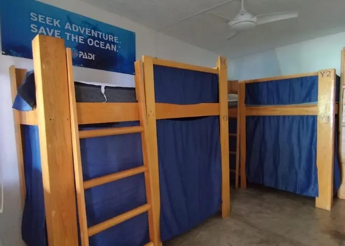 Hostel Blue Magic